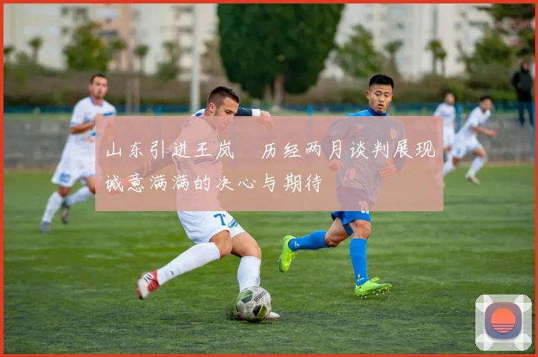 山东引进王岚嵚历经两月谈判展现诚意满满的决心与期待